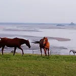 L'oeil Du Mont Vue Unique Sur Le Mont St Michel *