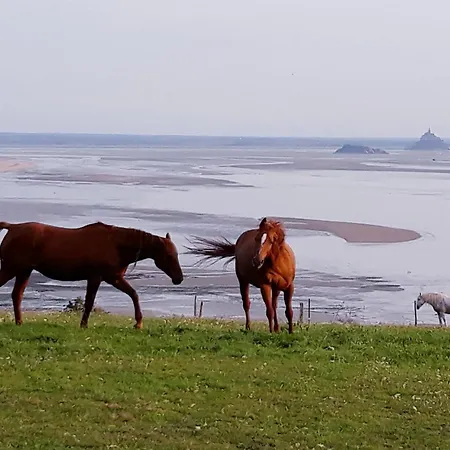 L'oeil Du Mont Vue Unique Sur Le Mont St Michel *