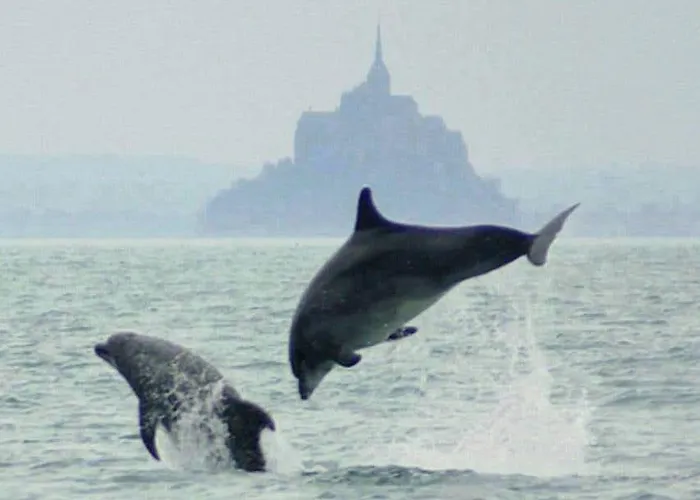 L'oeil Du Mont Vue Unique Sur Le Mont St Michel Holiday home Champeaux